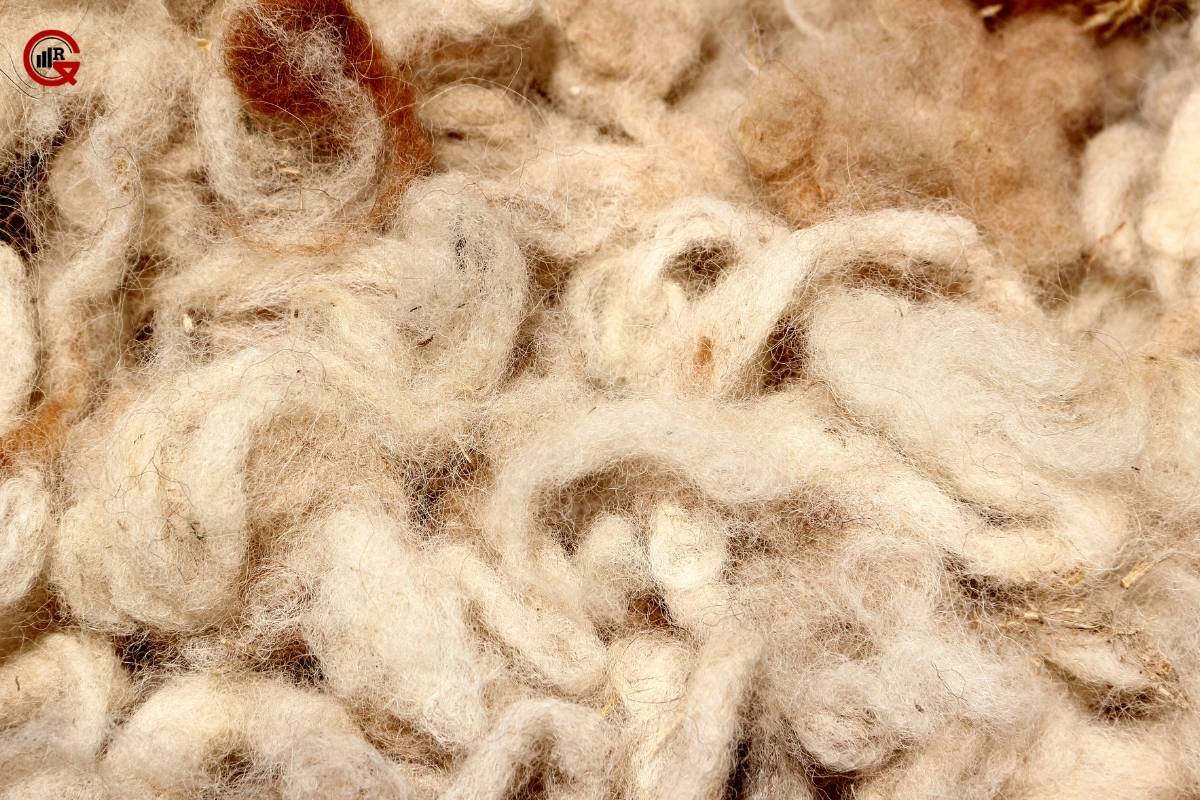 Synthetic vs Natural Fibers: Main Differences | GQ Research