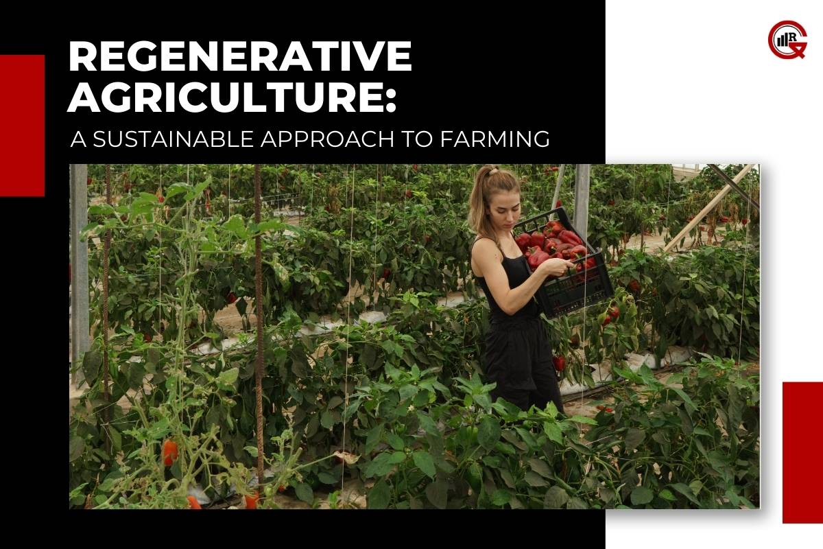 Regenerative Agriculture: Explore the Principles, Benefits, Challenges & Potential | GQ Research