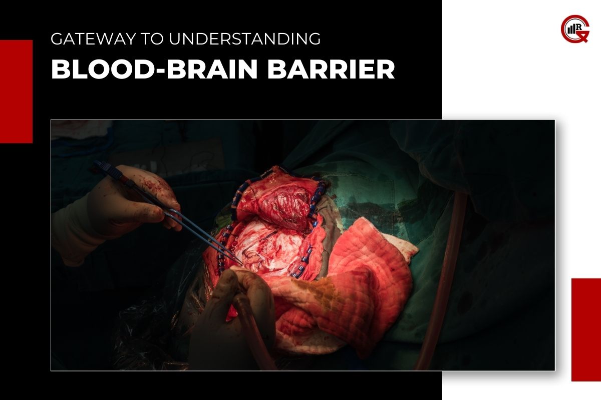 Blood-Brain Barrier: Exploring its Structure, Function, Significance in Neurological Health | GQ Research