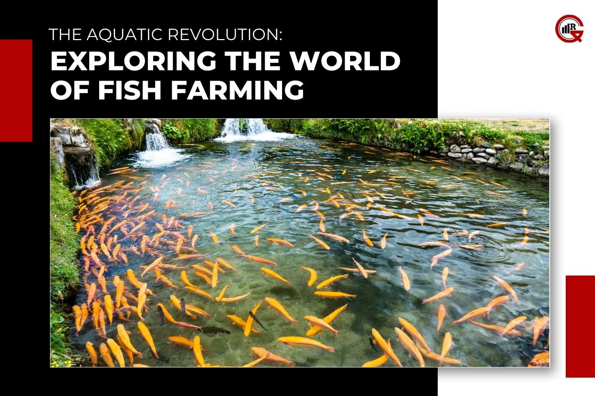 The Aquatic Revolution: Exploring the World of Fish Farming, Methods, Benefits, Challenges, Future Directions and Innovations | GQ Research