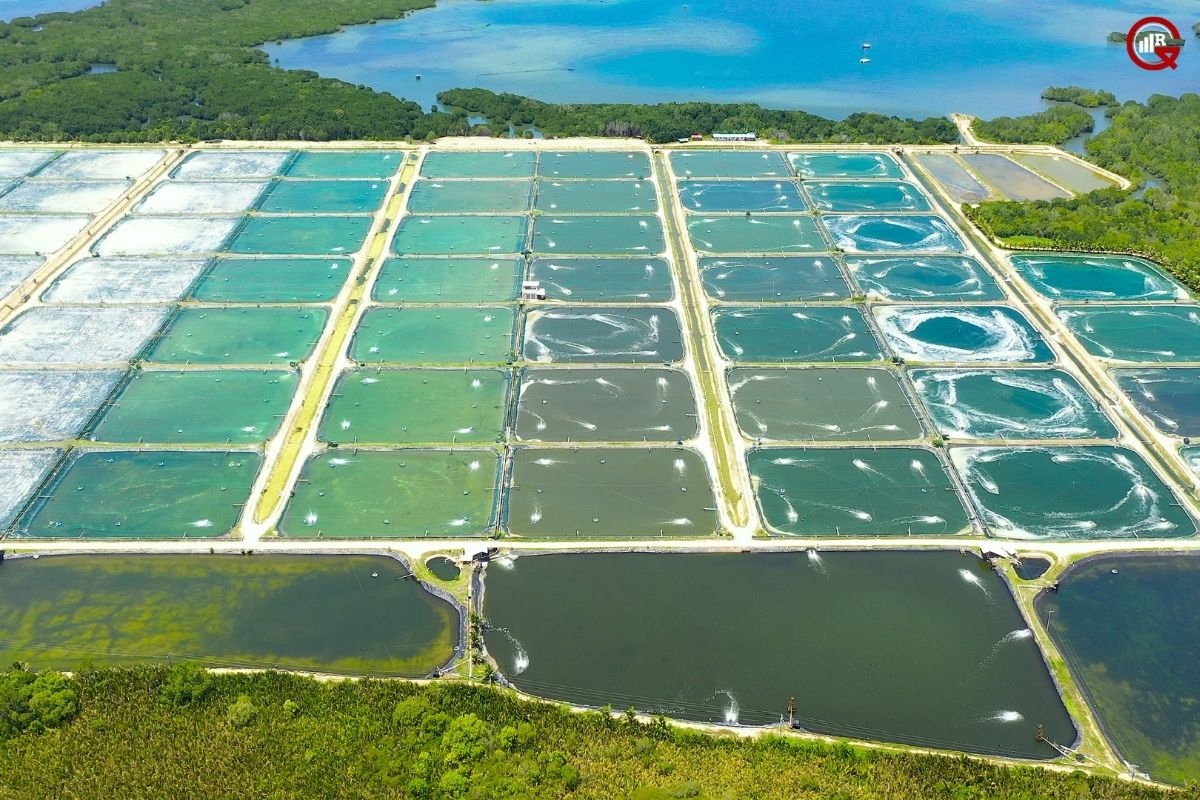 The Aquatic Revolution: Exploring the World of Fish Farming, Methods, Benefits, Challenges, Future Directions and Innovations | GQ Research
